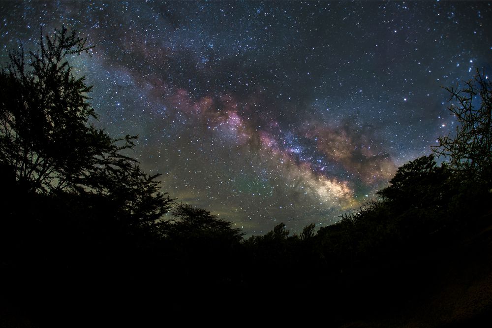 Photograph by Siamak Sabet