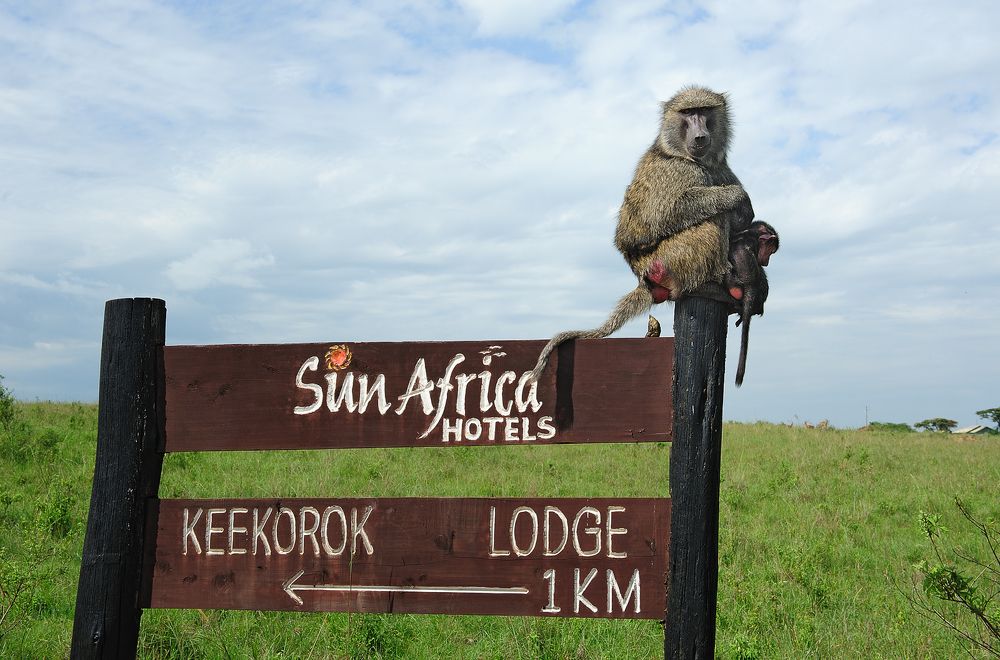 Photograph by Сергей Сережников