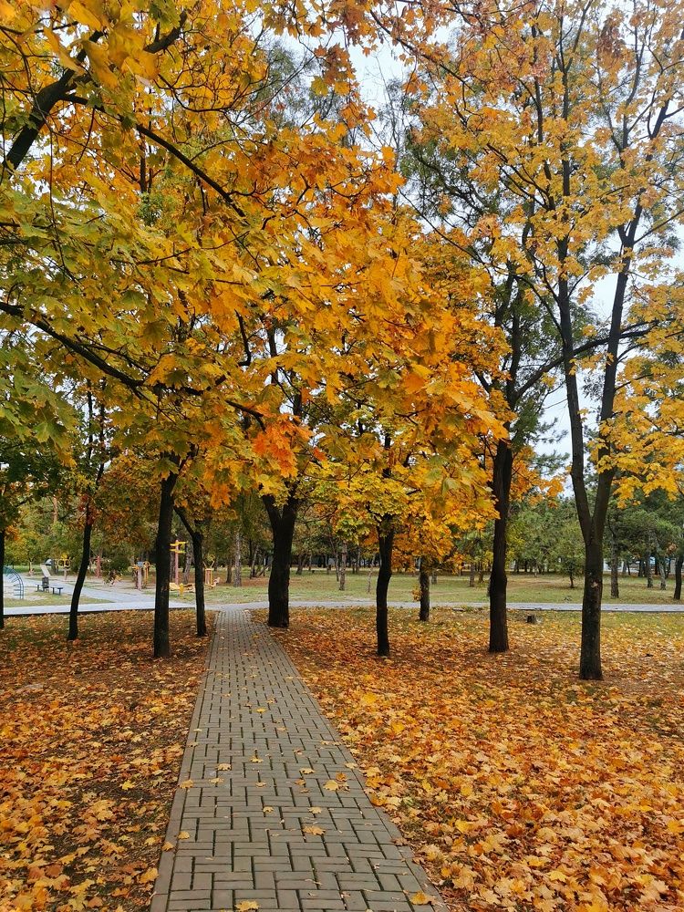 Photograph by Светлана Смирнова