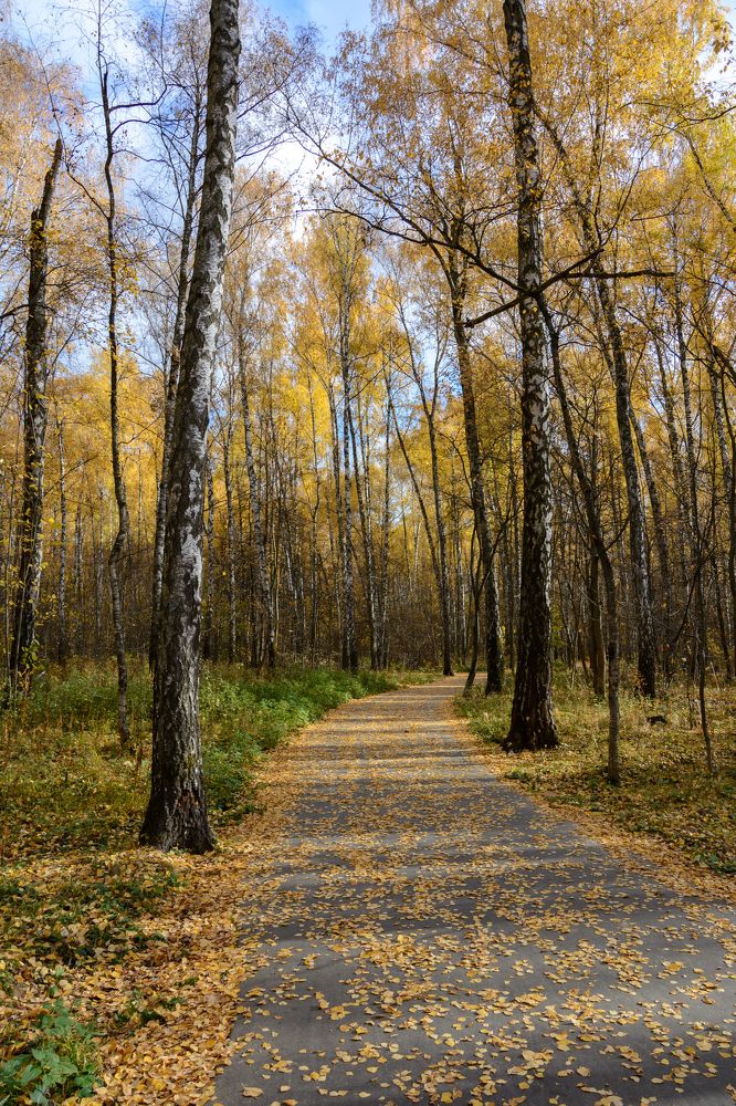 Photograph by Александр Поцелуев