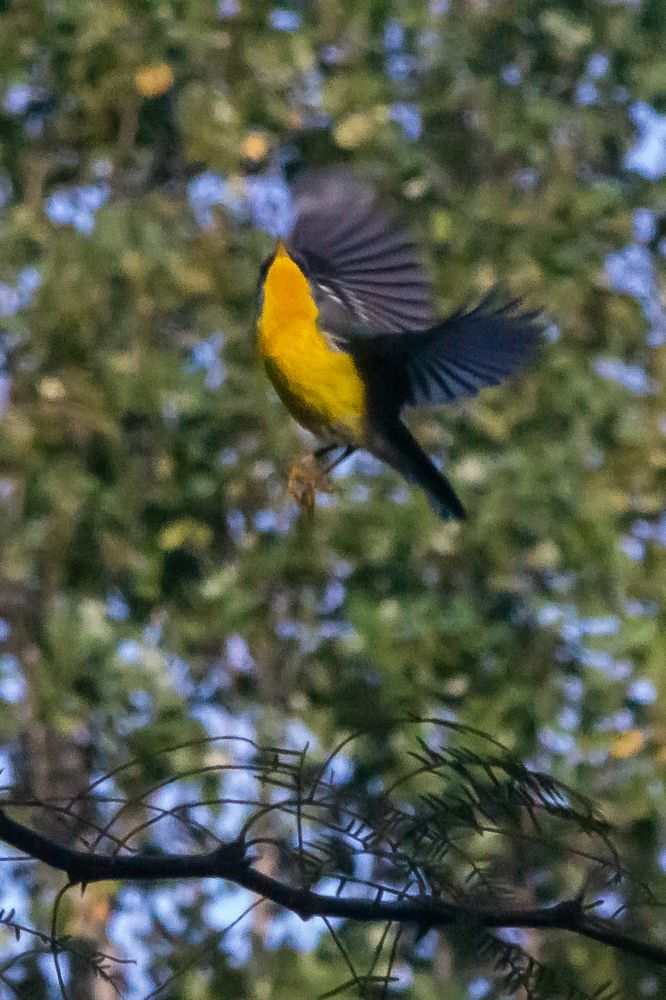 Photograph by María Laura Giorda