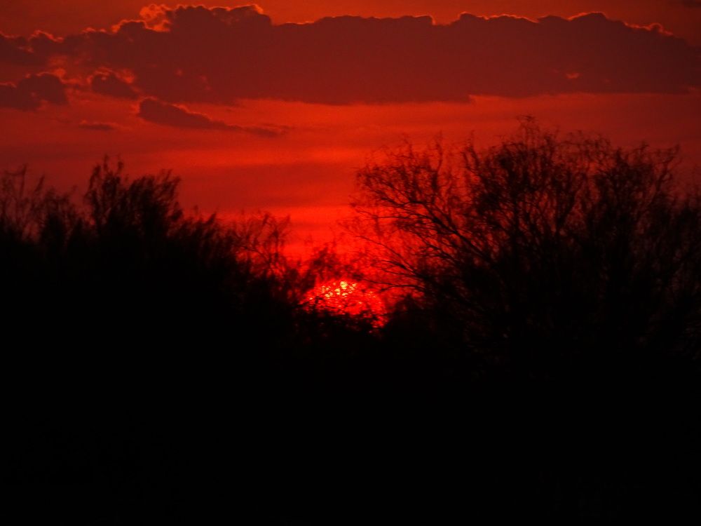 Photograph by María Laura Giorda