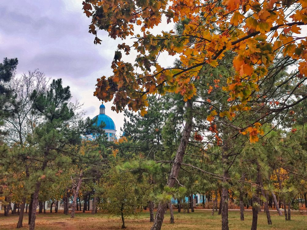 Photograph by Светлана Смирнова