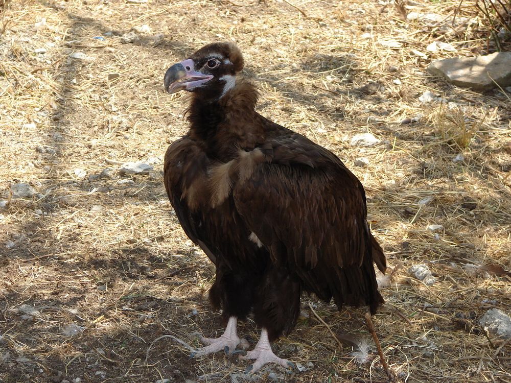 Photograph by Александр Гришин