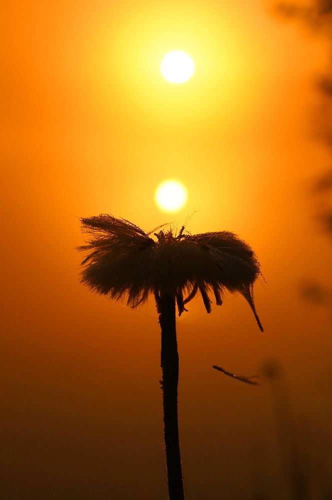Где-то на другой планете