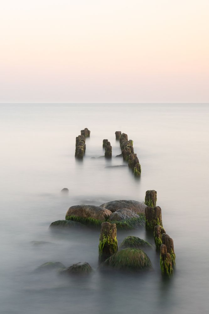 Photograph by Дарья Карамышева