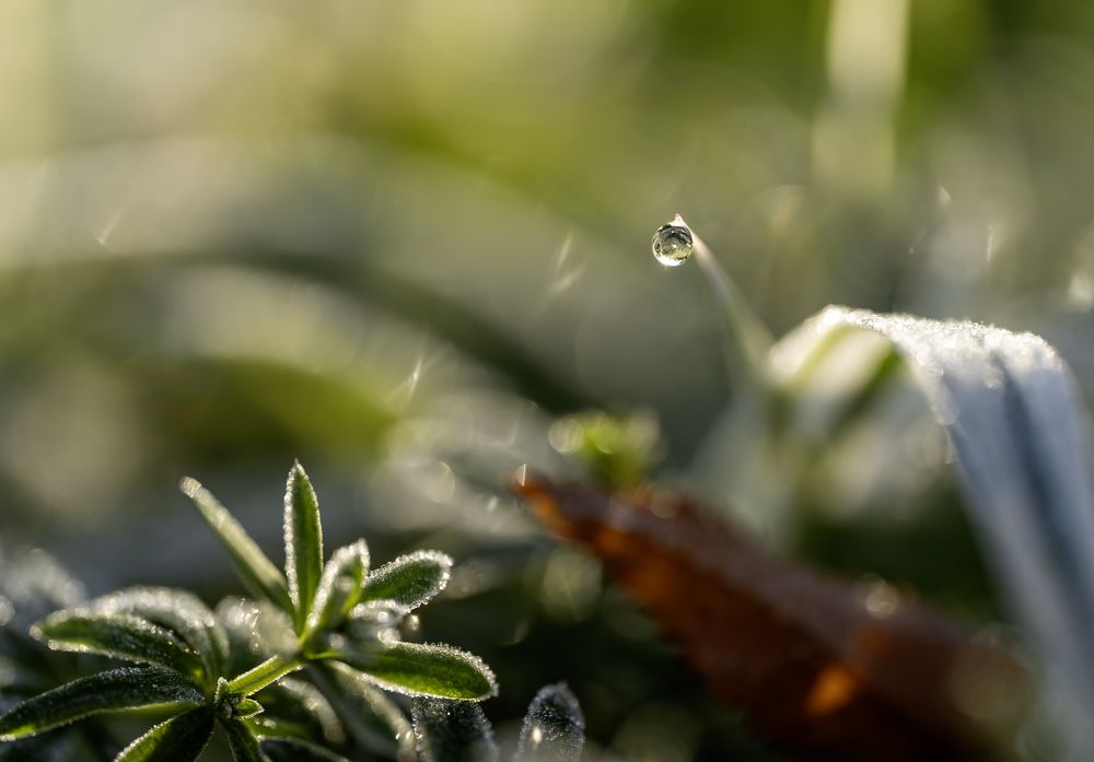 Photograph by Юрий Чернов