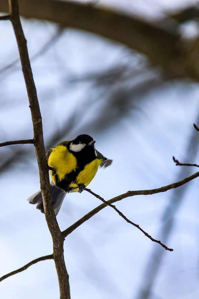 Photograph by Алексей Голубев