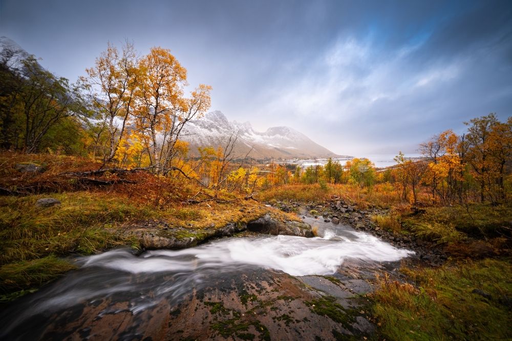 Photograph by Petr Kovar