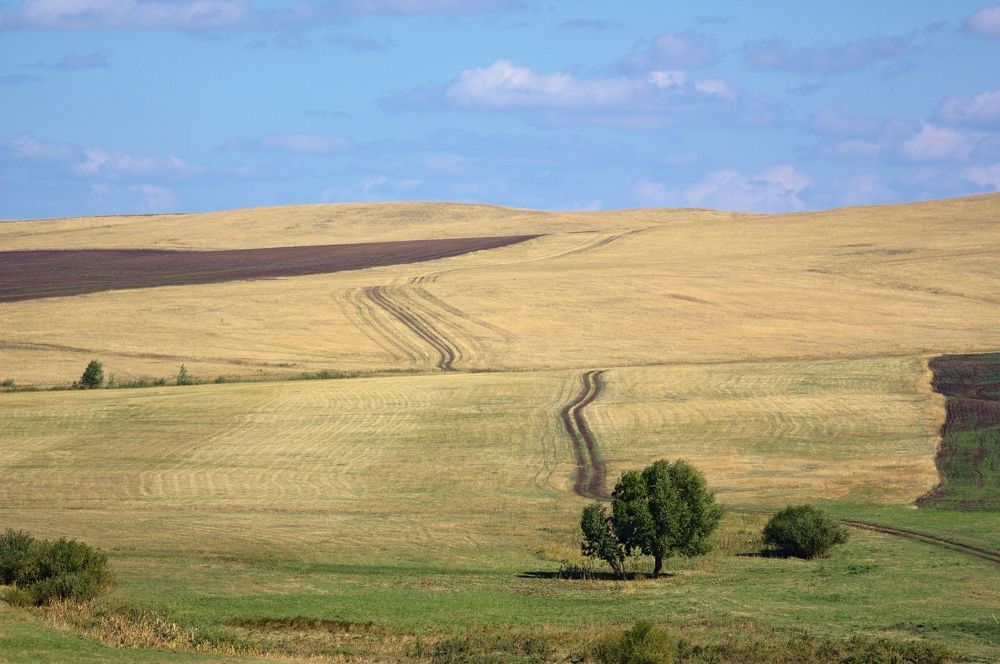 Photograph by Сергей Кириллов