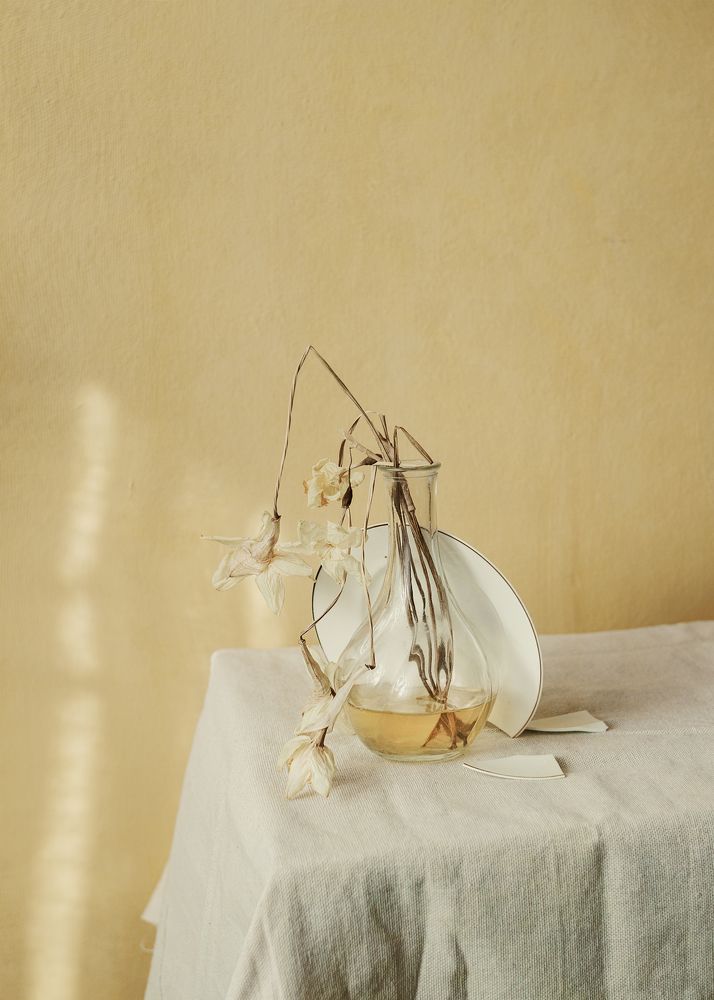 Фотография автора Вихрова Юлия