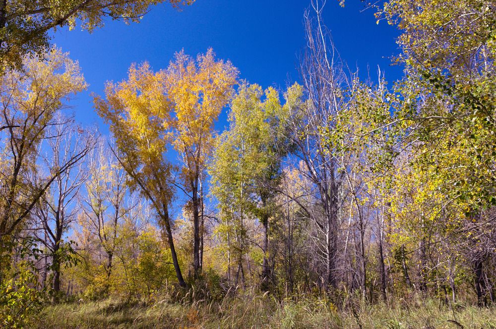 Photograph by Сергей Кириллов