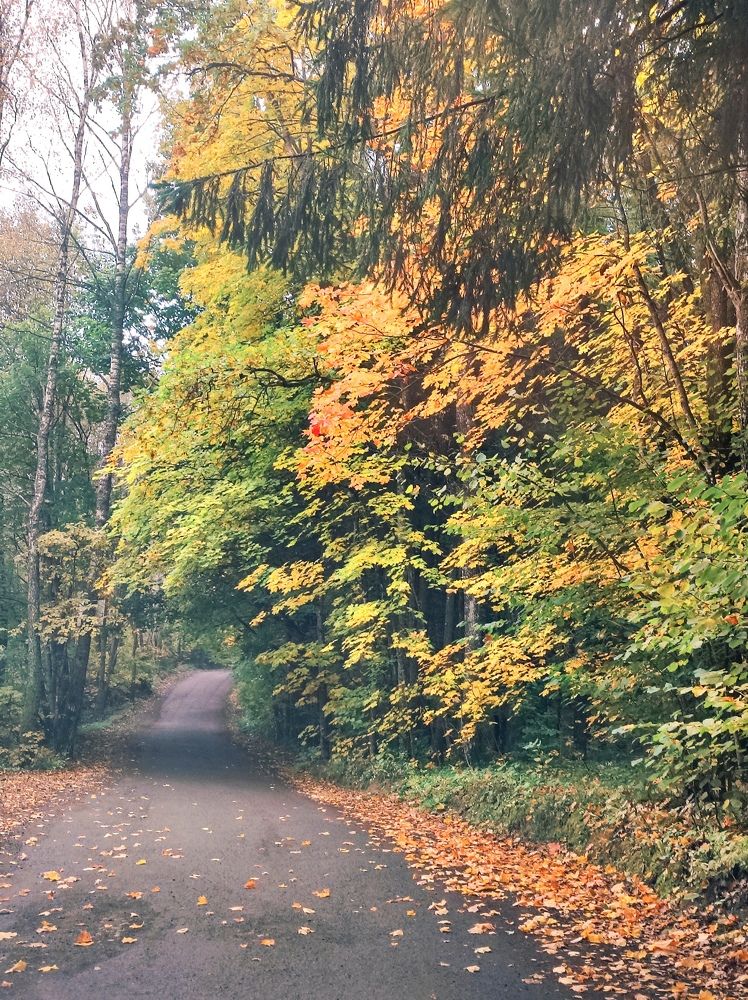 Фотография автора Рузинова Елена