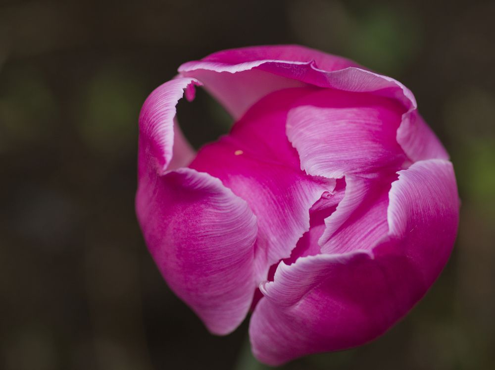 Photograph by Сергей Кириллов