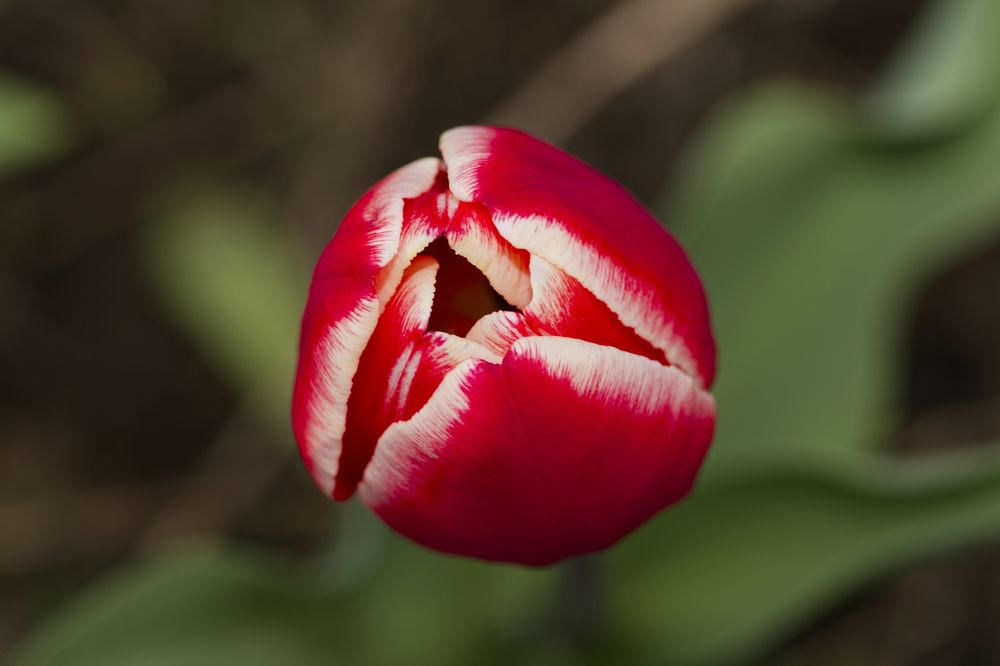 Photograph by Сергей Кириллов