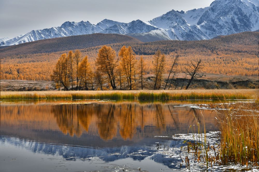 Photograph by Светлана Крат