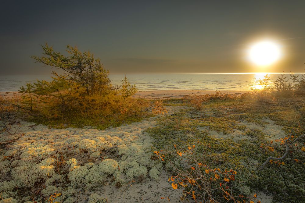 Сентябрь на Лямицком берегу