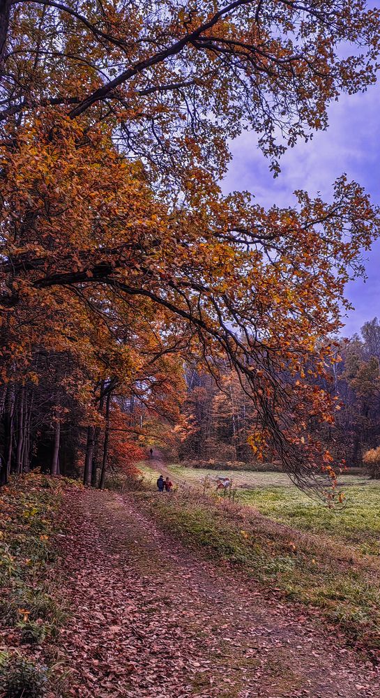 Photograph by Анастасия Семилетова