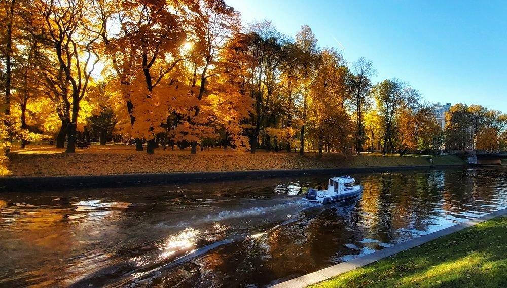 Фотография автора Алёна Михайлова