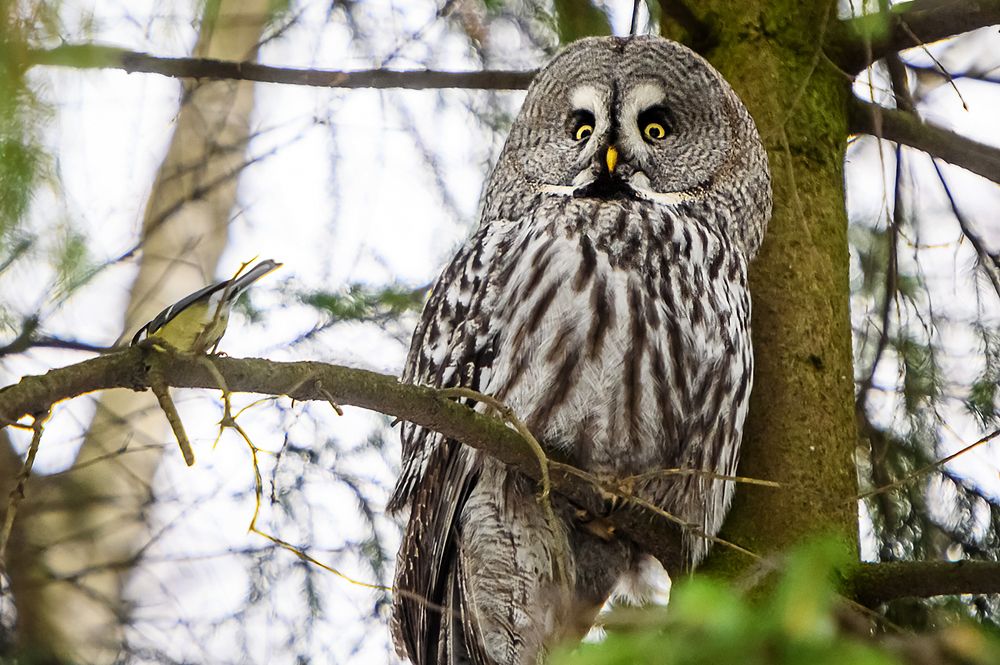 Photograph by Мария Новоселецкая