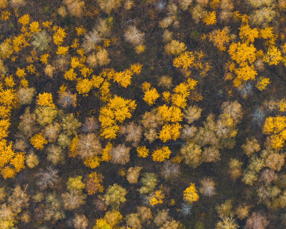 Photograph by Андрей Гусаров