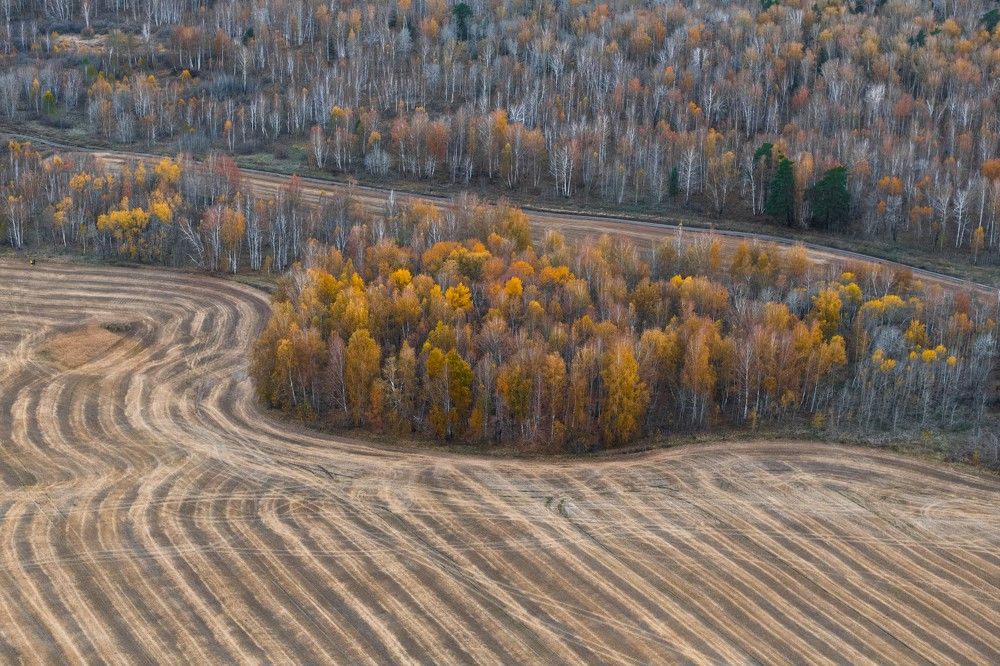 Photograph by Андрей Гусаров