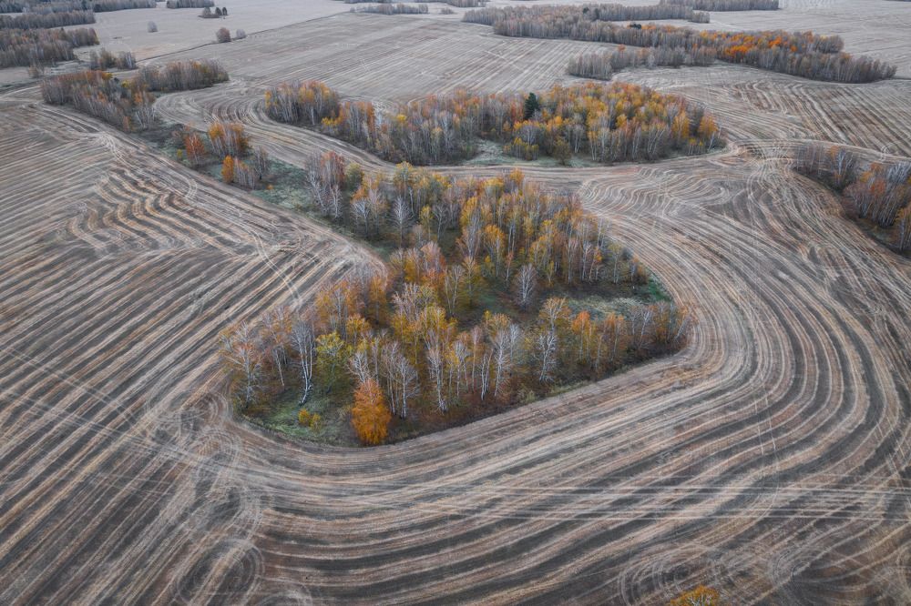 Photograph by Андрей Гусаров