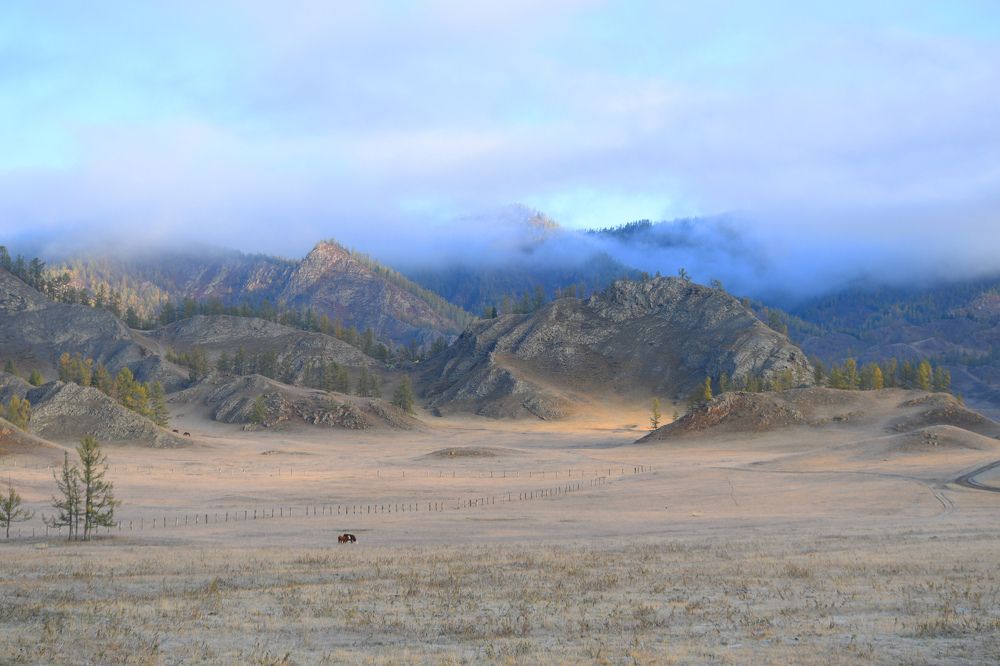 Photograph by Виталий Попов