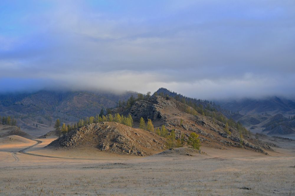 Photograph by Виталий Попов