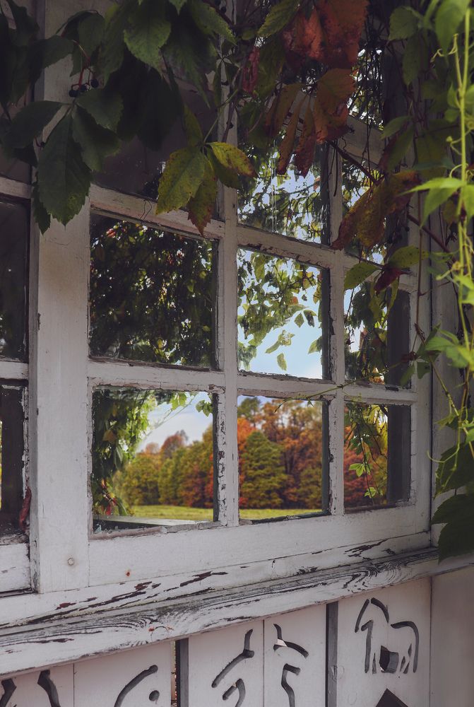 Photograph by Анастасия Семилетова