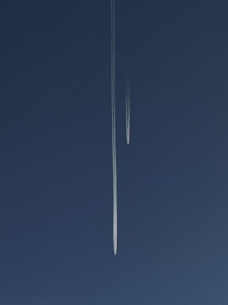 Фотография автора Алиса Исаева