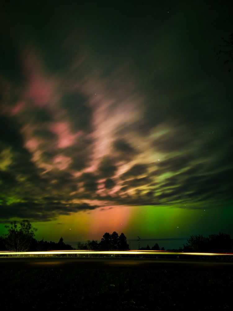 Фотография автора Алиса Исаева