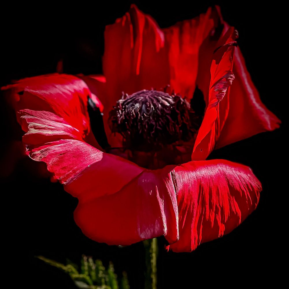 Фотография автора Sergey Sokolovsky