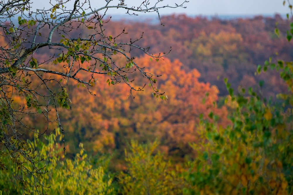 Photograph by Александр Ефимов