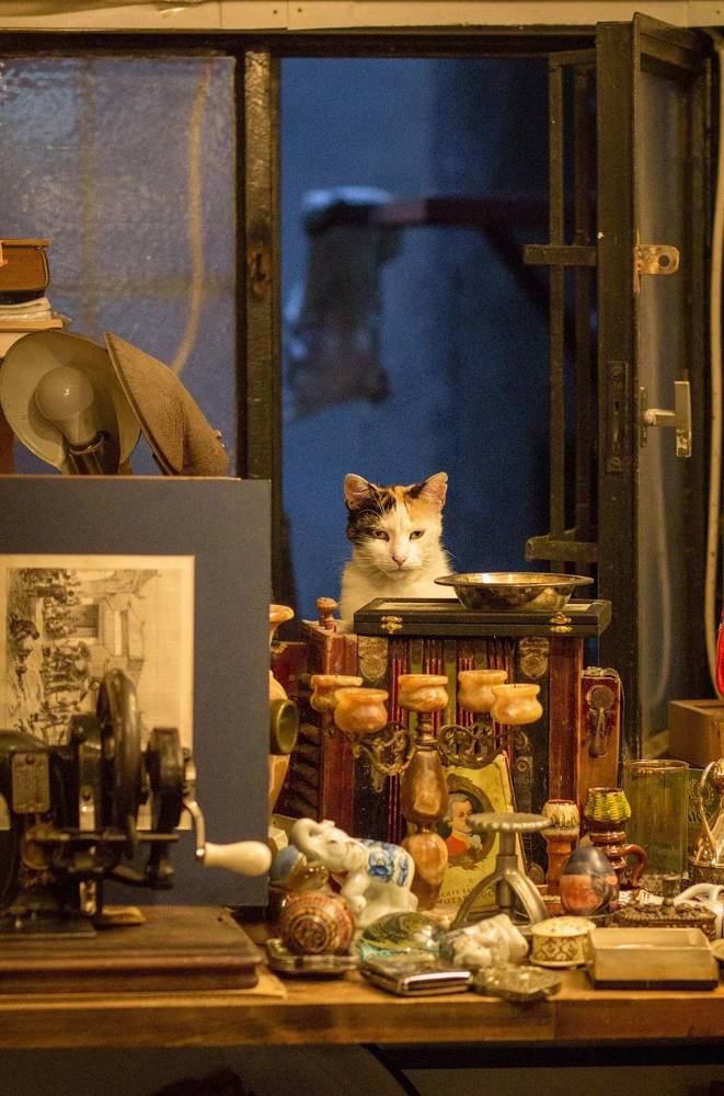 Photograph by Анастасия Лидяева