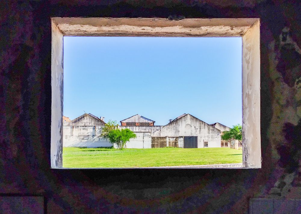 Photograph by Maria Julieta ZURZOLO