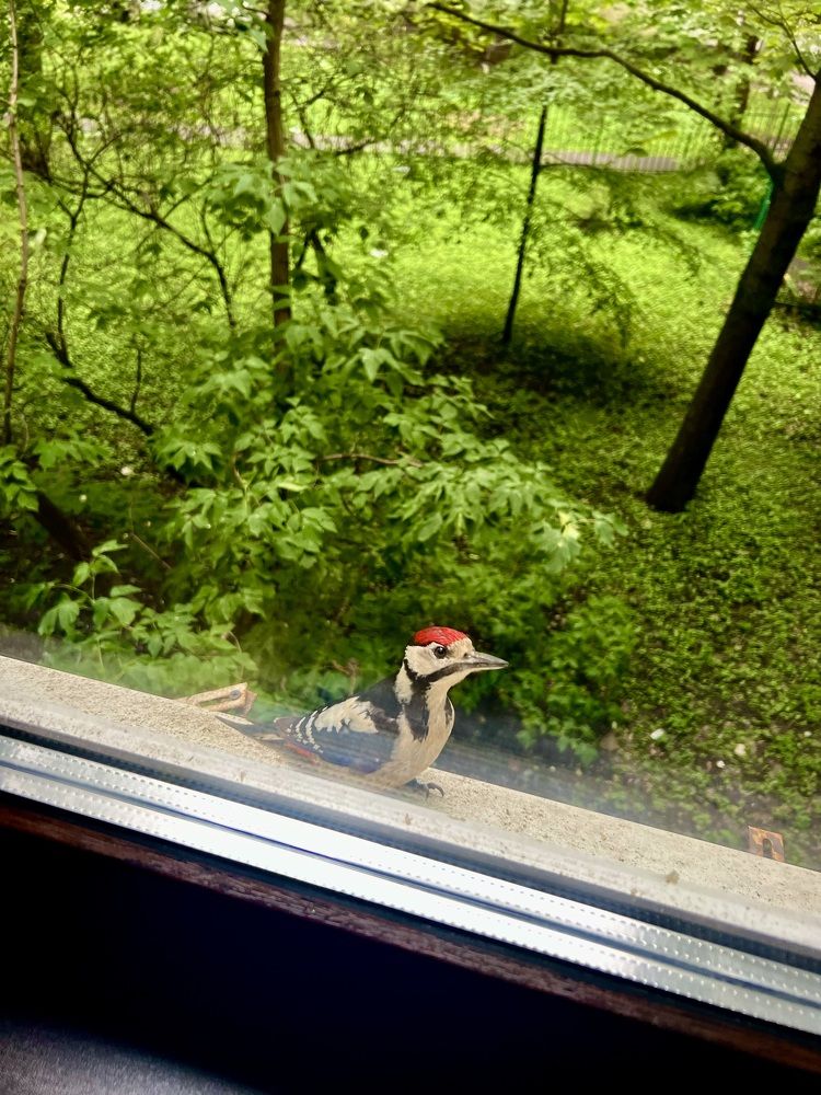 Photograph by Ирина Швейнова