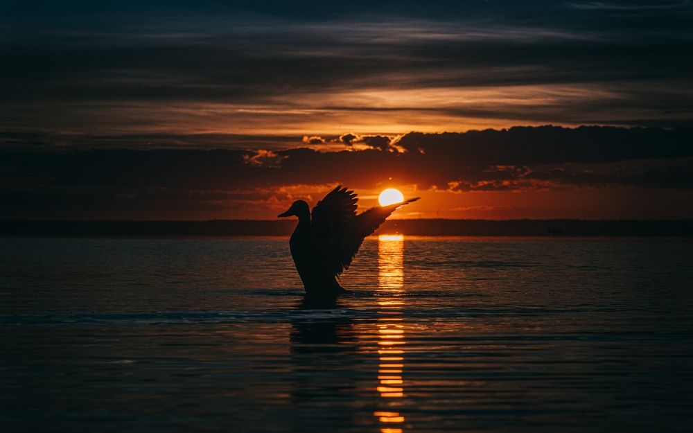 Photograph by Ольга Попова