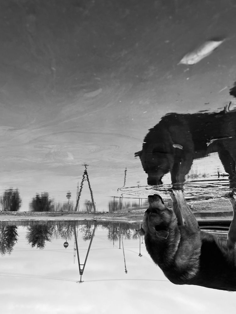 Photograph by Анна Михайловна