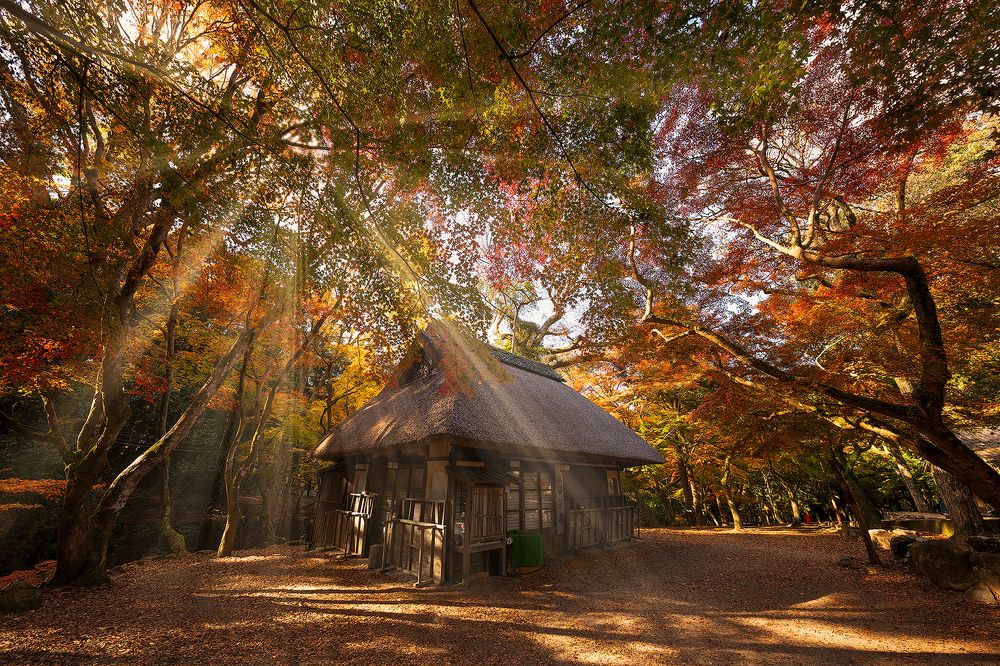 Photograph by Ch Natnattcha