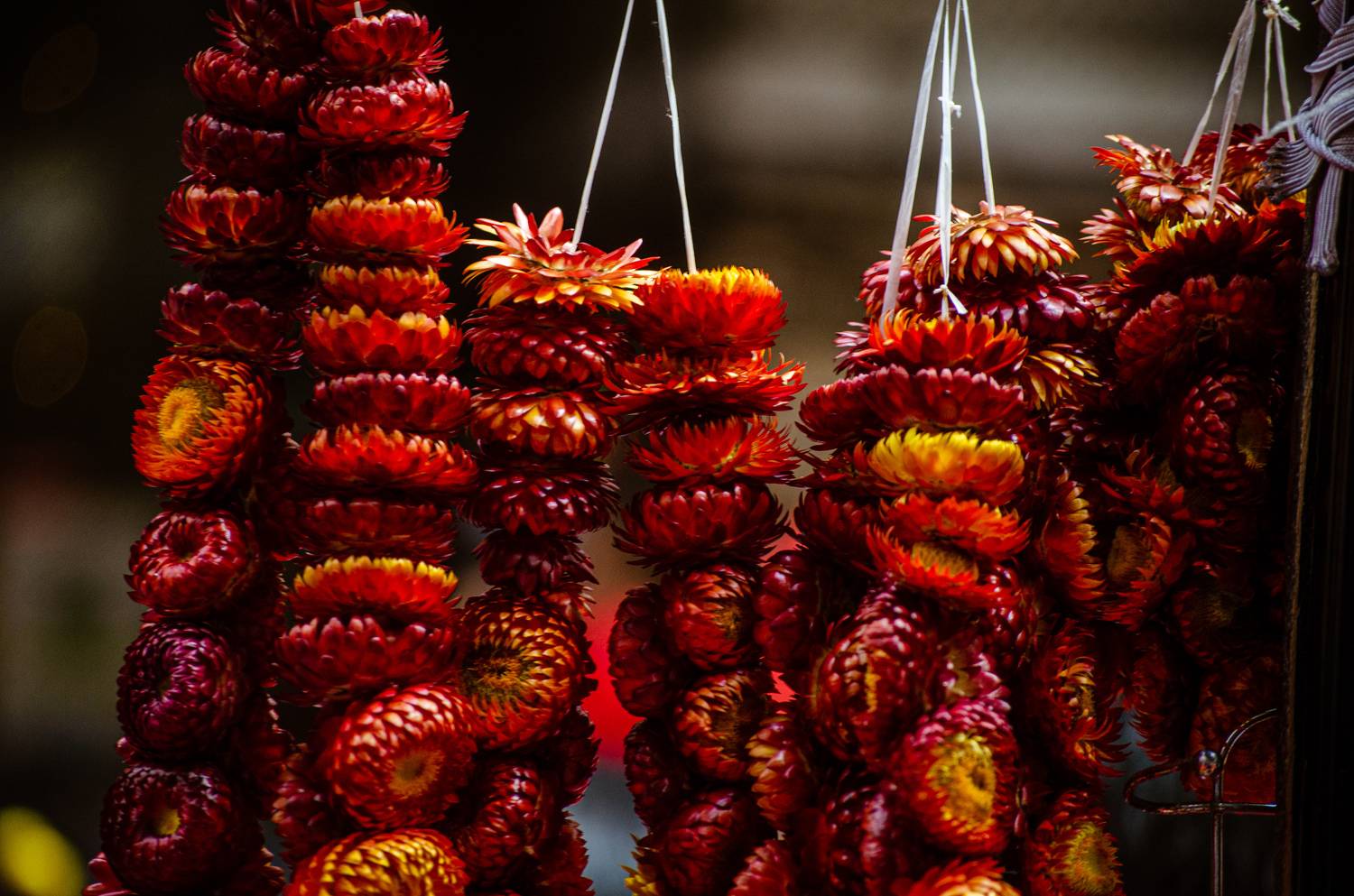 Red Fruit