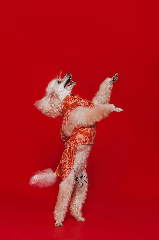 Photograph by Татьяна Степанова