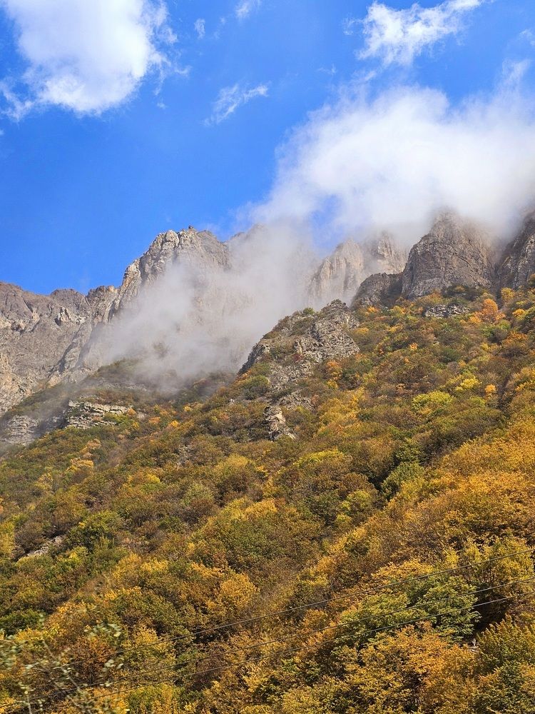 Photograph by Siamak Sabet