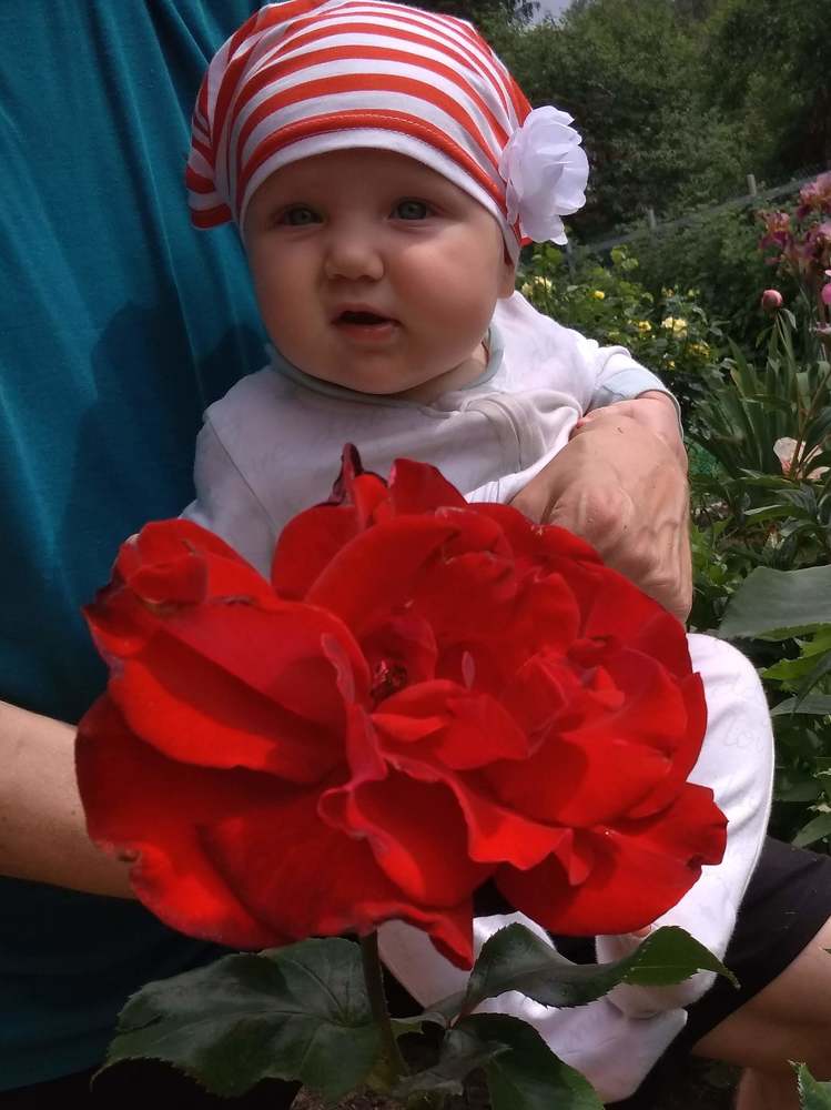 Фотография автора Рузинова Елена