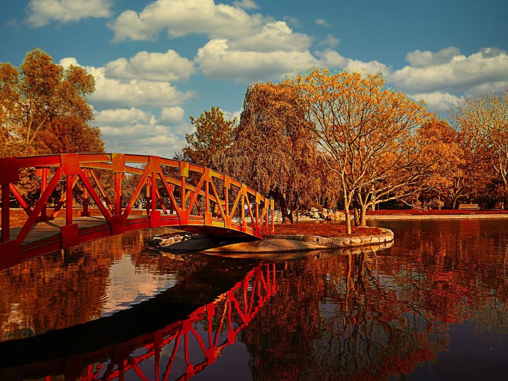 Photograph by Siamak Sabet