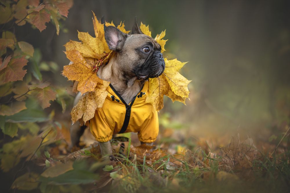 Photograph by Елена Самусенкова