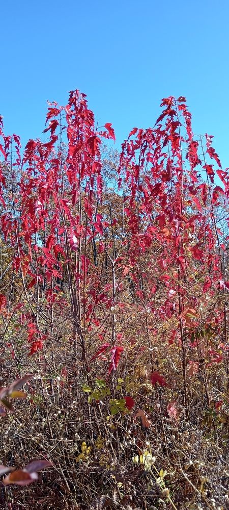 Photograph by Юлия Лихачева