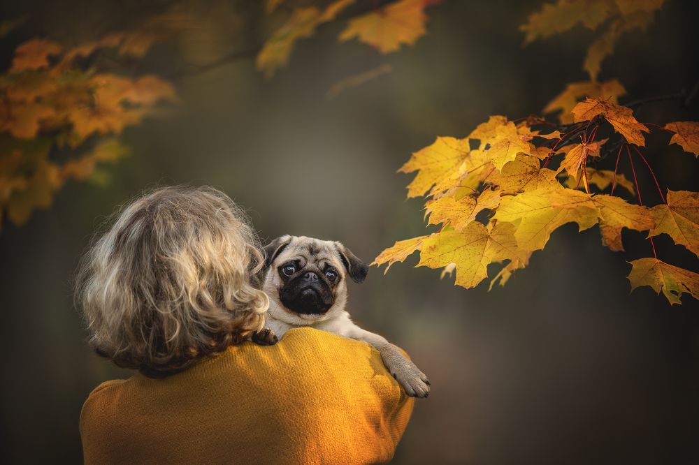 Photograph by Елена Самусенкова