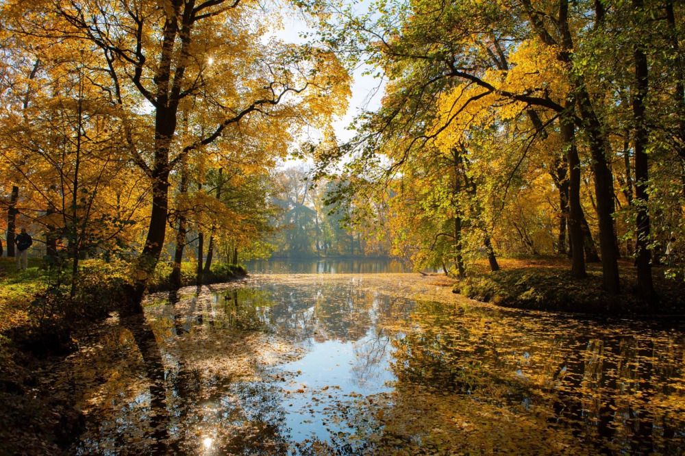 Photograph by Юлия Степанская