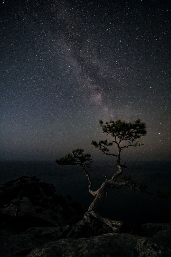 Photograph by Юрий Гаврилов